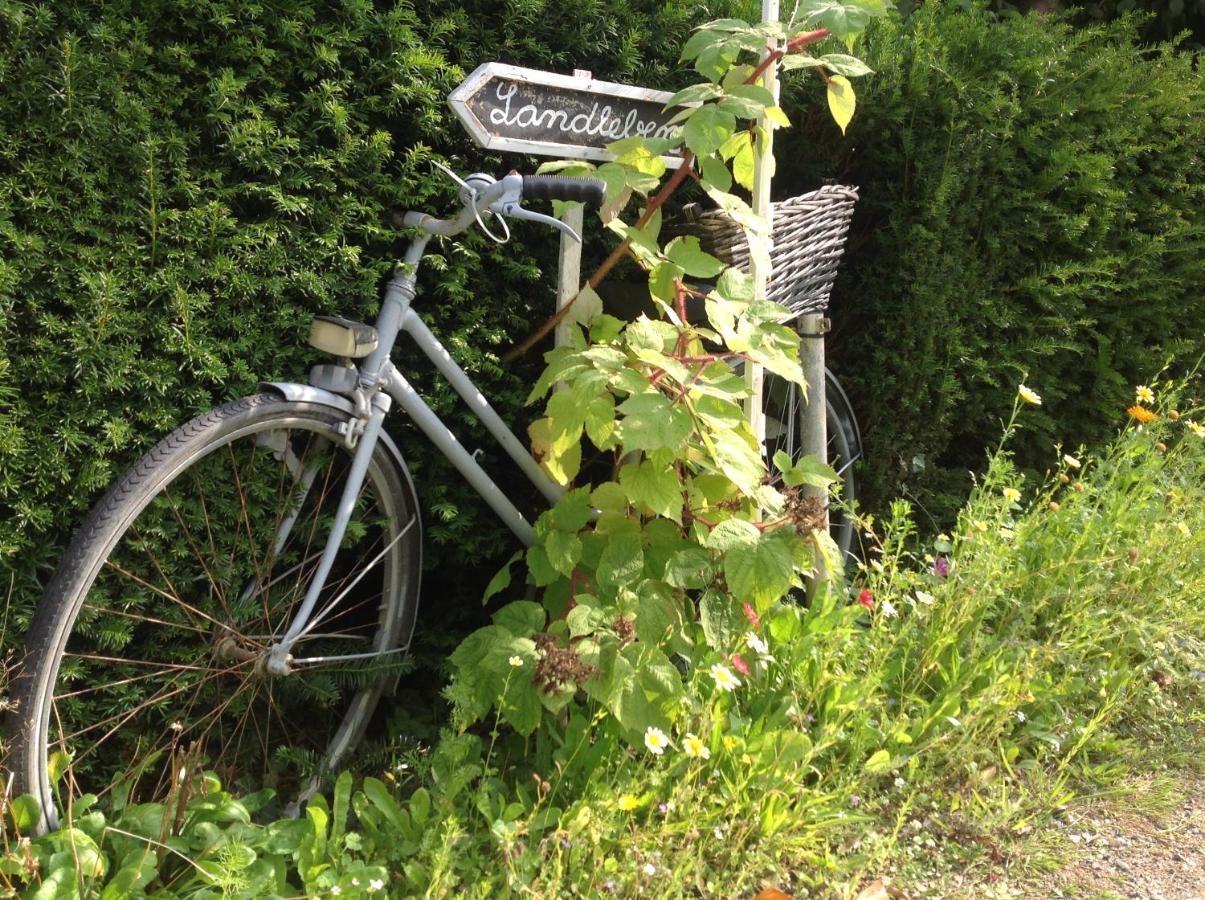 Kleine Landliebe Appartement Hohwacht Buitenkant foto